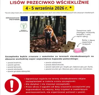 Szczepienie lisów przeciw wściekliźnie w regionie – ważne informacje dla mieszkańców