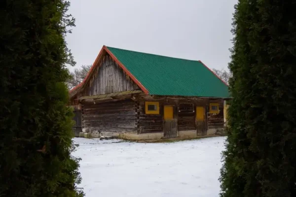Anonimowy sprzeciw blokuje wycinkę tui przy figurce w gminie Białogard