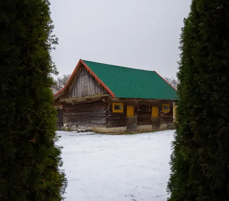Anonimowy sprzeciw blokuje wycinkę tui przy figurce w gminie Białogard