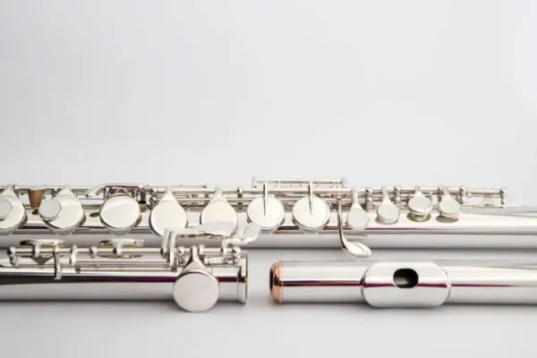 Powiat rypiński inwestuje w muzyczną edukację – nowe instrumenty dla szkoły